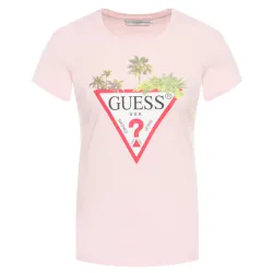 tropical G Guess - 1 tropical G Guess - 1