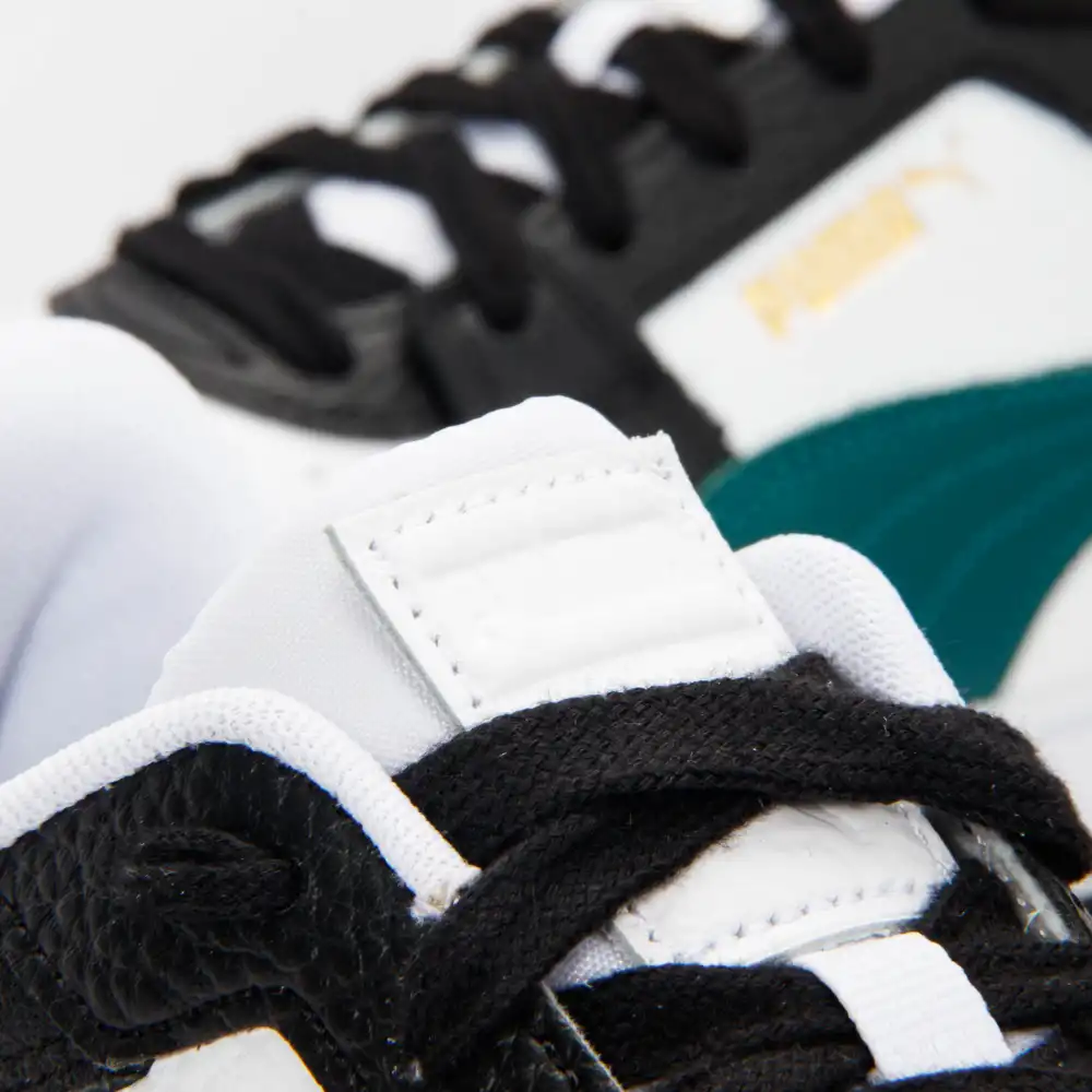 Ca pro Puma - 6 Ca pro Puma - 6