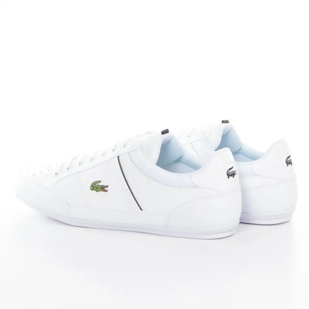 PARTNER: CREATION ref 7-42CMA0014147 Lacoste - 5 PARTNER: CREATION ref 7-42CMA0014147 Lacoste - 5