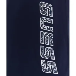 Logo wild Guess - 2 Logo wild Guess - 2