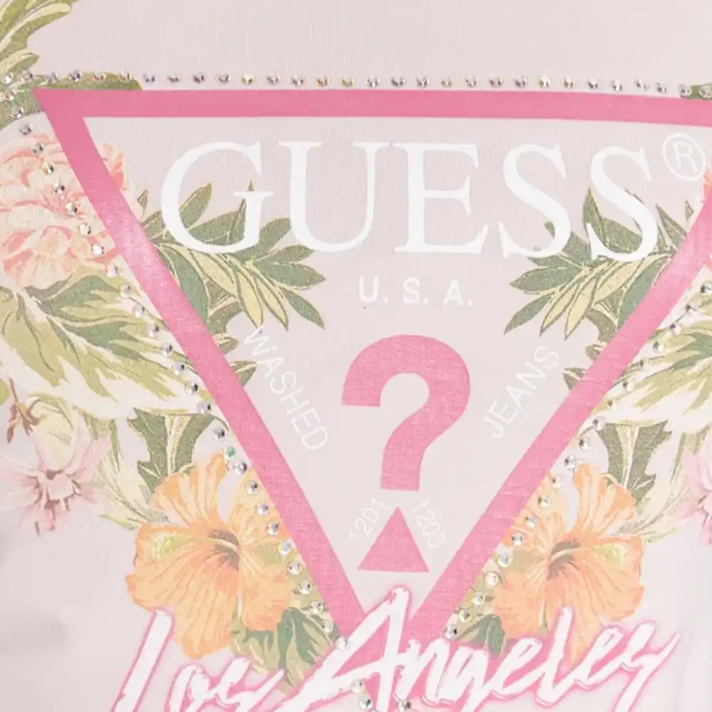 Triangle original Guess - 2