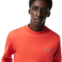 Logo croco original Lacoste - 5 Logo croco original Lacoste - 5