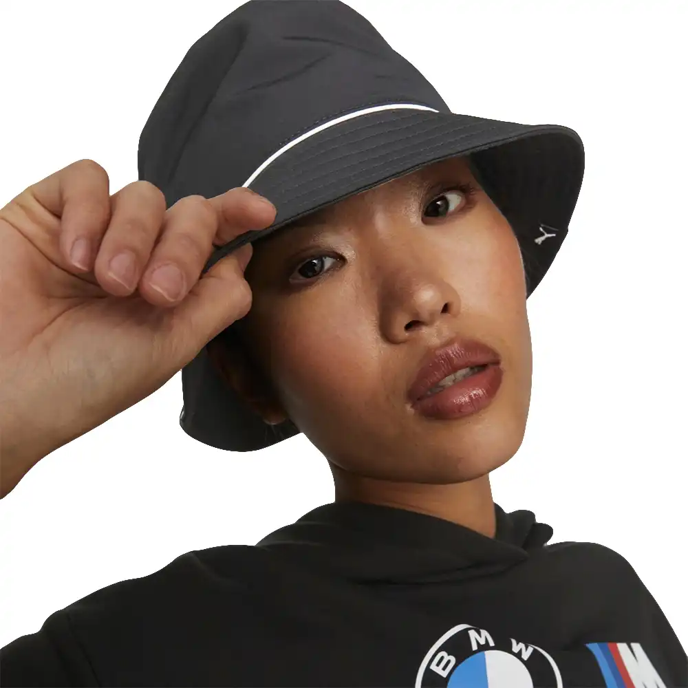 BMW motorsport logo Puma - 2