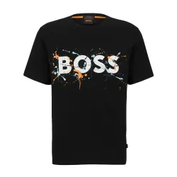 logo artistique coloré Boss - 1