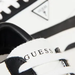 triangle Guess - 3