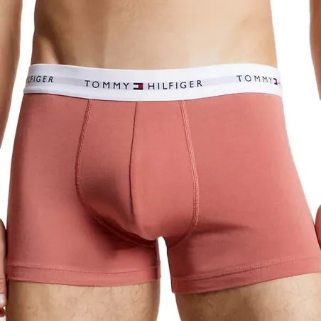 Boxer homme Tommy Jeans Multicolor essential