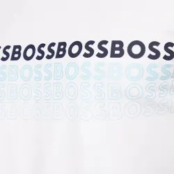 PARTNER: CREATION ref 50488785-100 Boss - 2