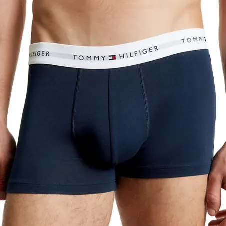 Boxer homme Tommy Jeans Multicolor essential flag