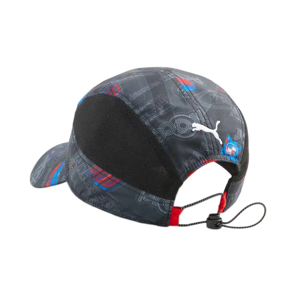 PARTNER: CREATION ref 024787-01 Puma - 2 PARTNER: CREATION ref 024787-01 Puma - 2