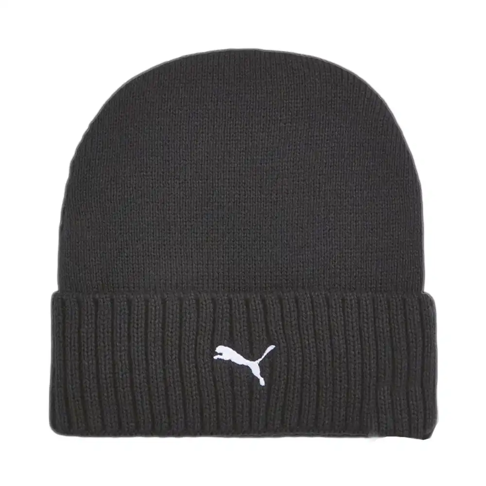 Mercedes-AMG Petronas Puma - 2 Mercedes-AMG Petronas Puma - 2