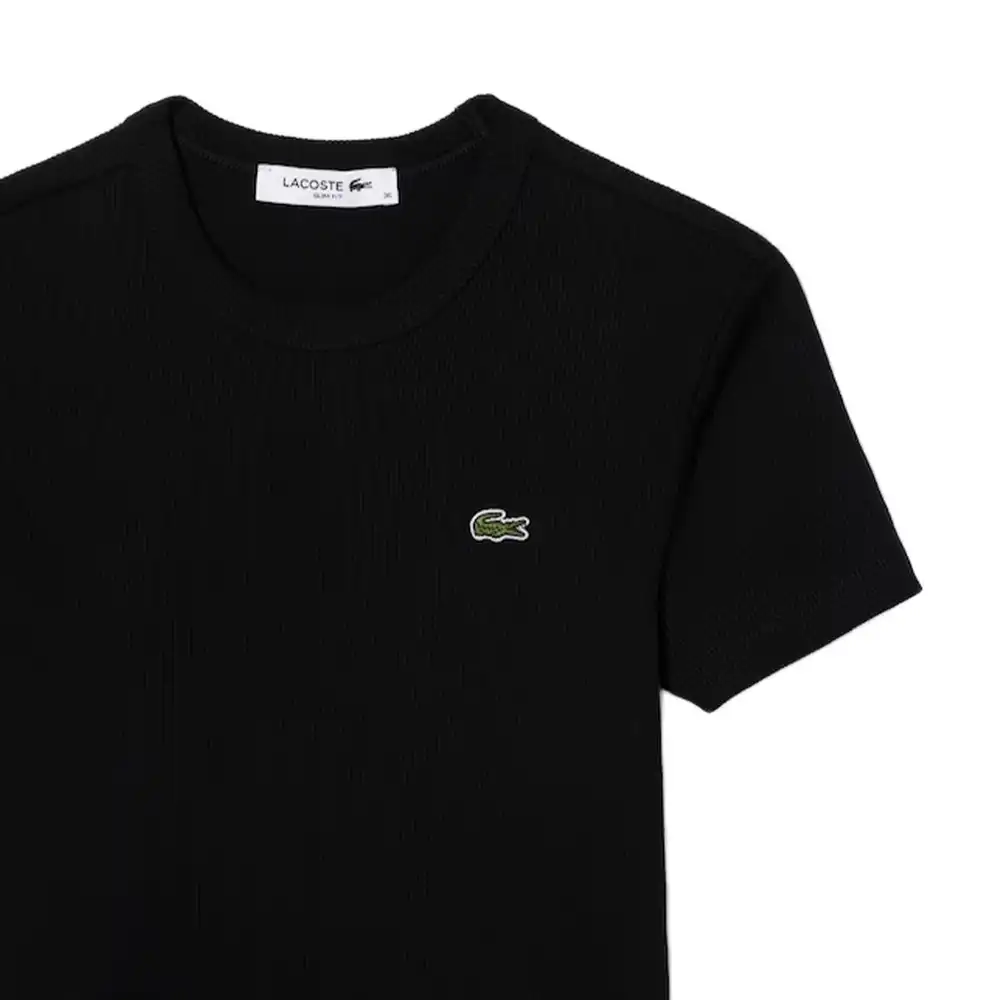 PARTNER: CREATION ref TF5538-031 Lacoste - 3 PARTNER: CREATION ref TF5538-031 Lacoste - 3