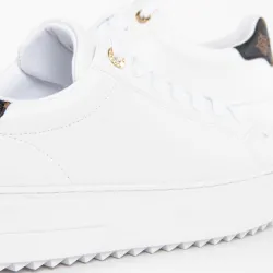 esssentiel Guess - 7 esssentiel Guess - 7