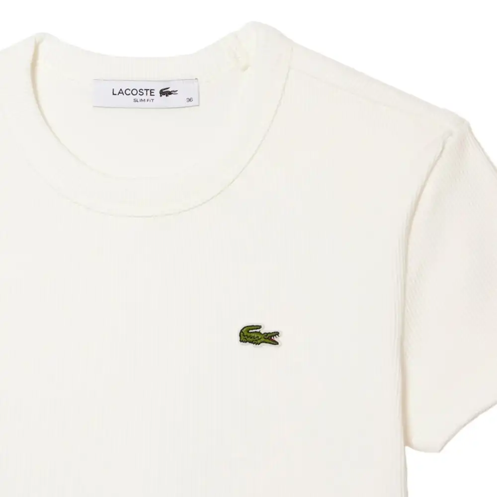 PARTNER: CREATION ref TF5538-70V Lacoste - 3 PARTNER: CREATION ref TF5538-70V Lacoste - 3