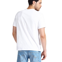 surfer almeda Guess - 4