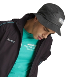 AMG formula one team Puma - 3