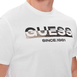 since 1981 Guess - 2 since 1981 Guess - 2