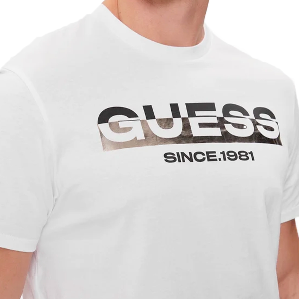 since 1981 Guess - 2 since 1981 Guess - 2