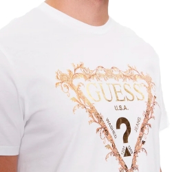 Tri Scroll Guess - 2