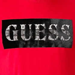 Authentic Guess - 2
