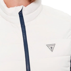 Triangle G Guess - 3