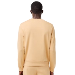 PARTNER: CREATION ref SH9608-IXQ Lacoste - 6