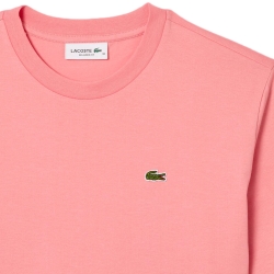 Pima Lacoste - 4