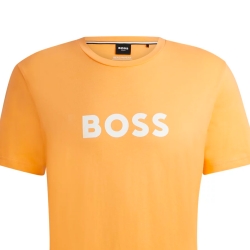 Authentic Boss - 2 Authentic Boss - 2