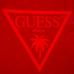 Palmas Guess - 2