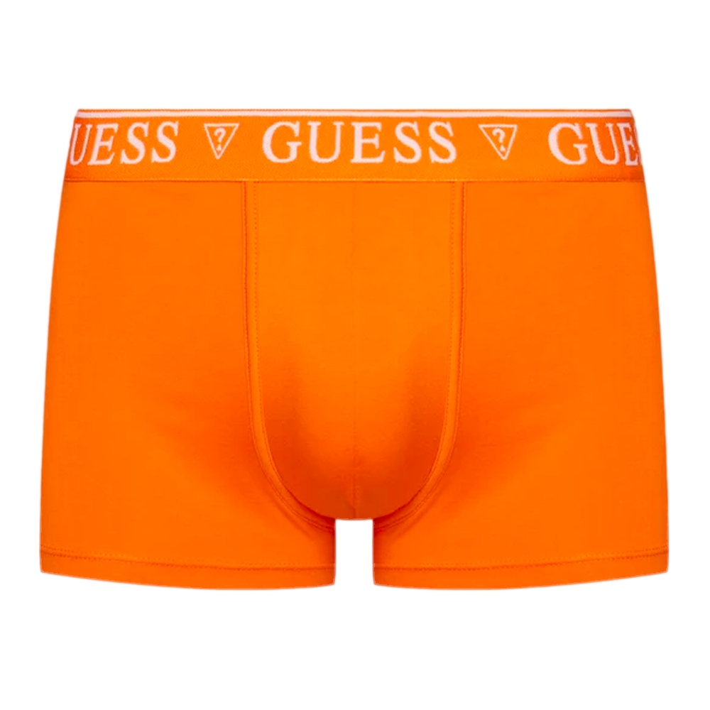 pack x5 stretch Guess - 5