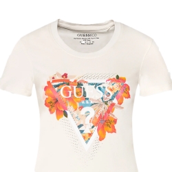 Tropical Triangle Guess - 2