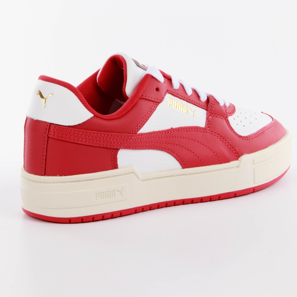 CA Pro classique Puma - 4