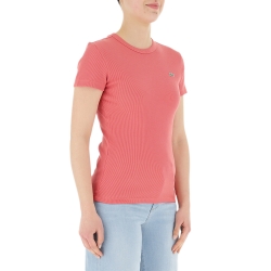 PARTNER: CREATION ref TF5538-ZV9 Lacoste - 2 PARTNER: CREATION ref TF5538-ZV9 Lacoste - 2