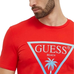 Palmas triangle Guess - 2 Palmas triangle Guess - 2