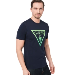 Palmas triangle Guess - 4 Palmas triangle Guess - 4