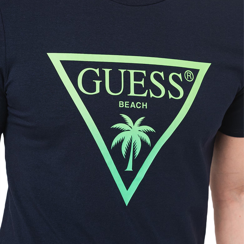 Palmas triangle Guess - 3 Palmas triangle Guess - 3