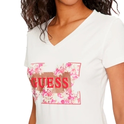Fleurs Guess - 2 Fleurs Guess - 2