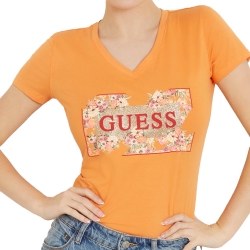 Fleurs Guess - 2 Fleurs Guess - 2