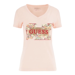 Fleurs Guess - 4 Fleurs Guess - 4