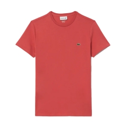 Pima Lacoste - 4 Pima Lacoste - 4