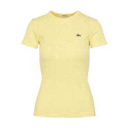 Crocodile Lacoste - 3 Crocodile Lacoste - 3