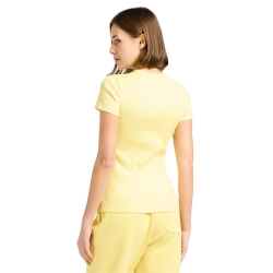 Crocodile Lacoste - 5 Crocodile Lacoste - 5