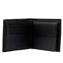 ray trifold ray trifold