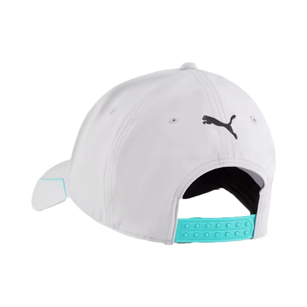 Mercedes AMG Petronas F1