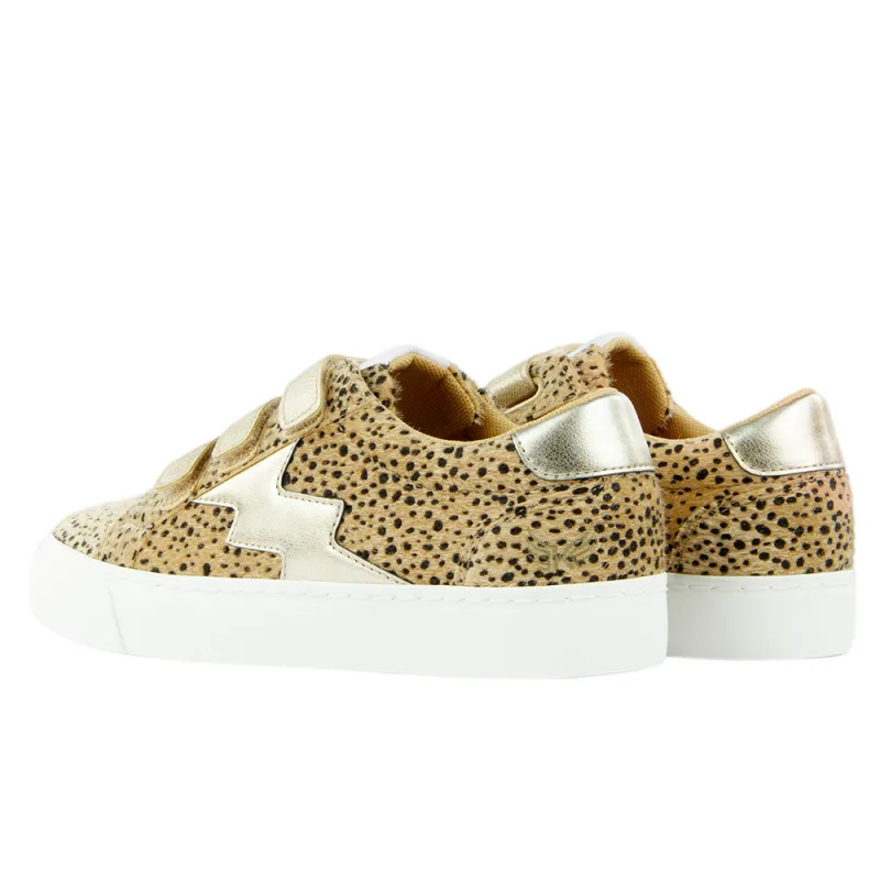 PARTNER: CREATION ref C400440-BEIGE