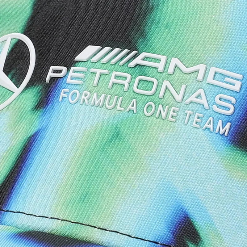 Mercedes AMG Petronas Mercedes AMG Petronas