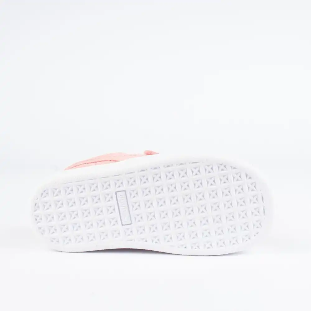 suède winter monster