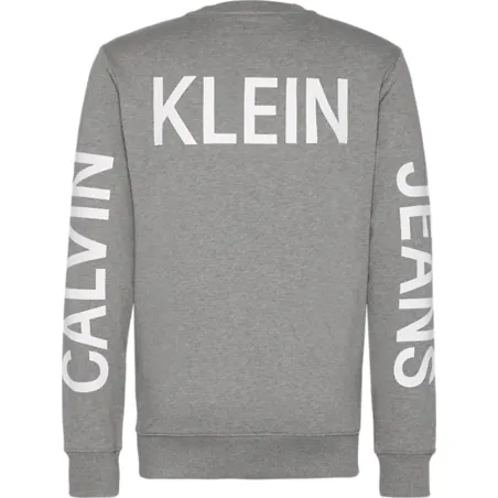 Produits victimes de leur succès Calvin Klein Gris institutional back print 