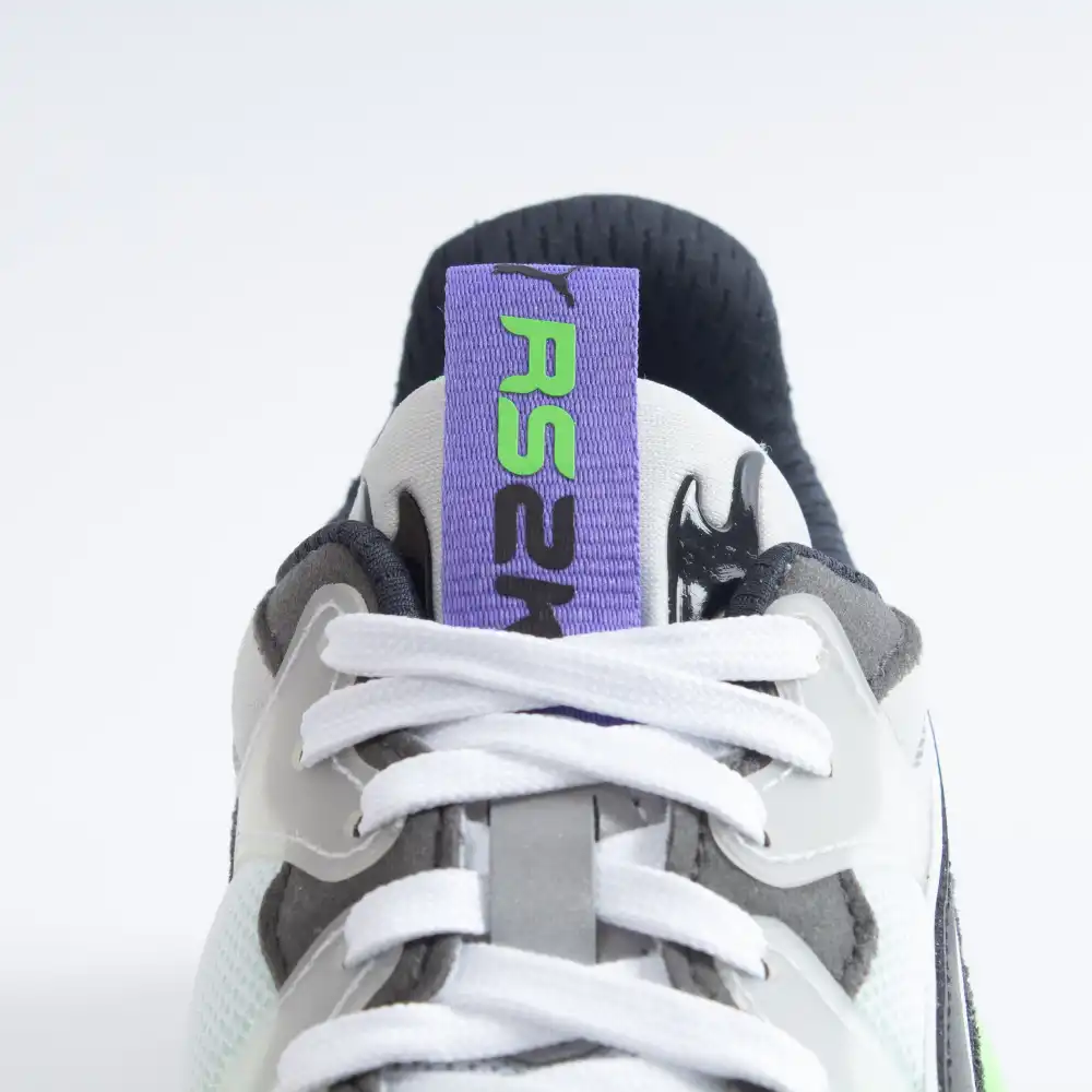 RS-2K INTERNET EXPLORING Puma - 2