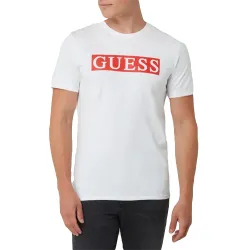  Guess - 1