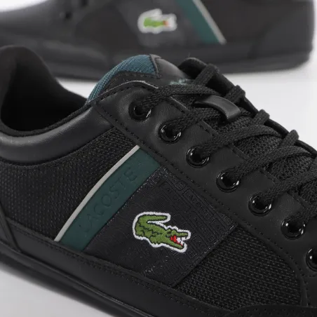 lacoste chaymon 319